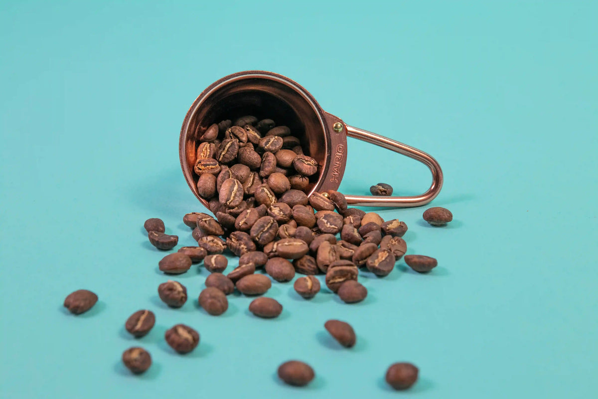 V60 Measuring Spoon