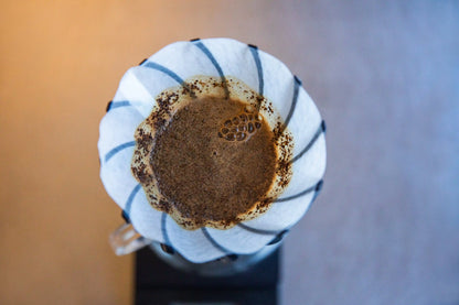 V60 "Suiren" Coffee Dripper 02