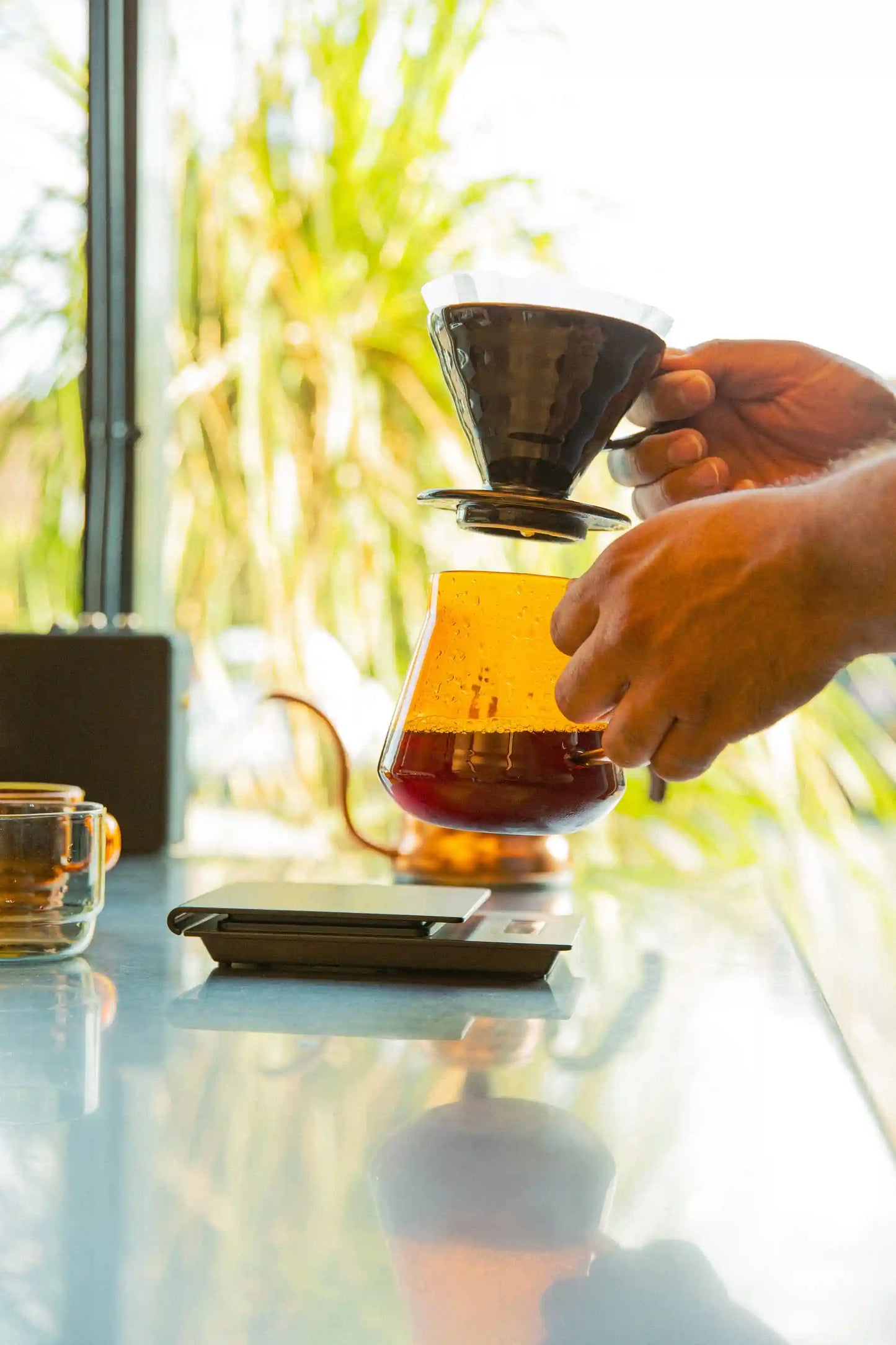 Glass Coffee and Tea Server